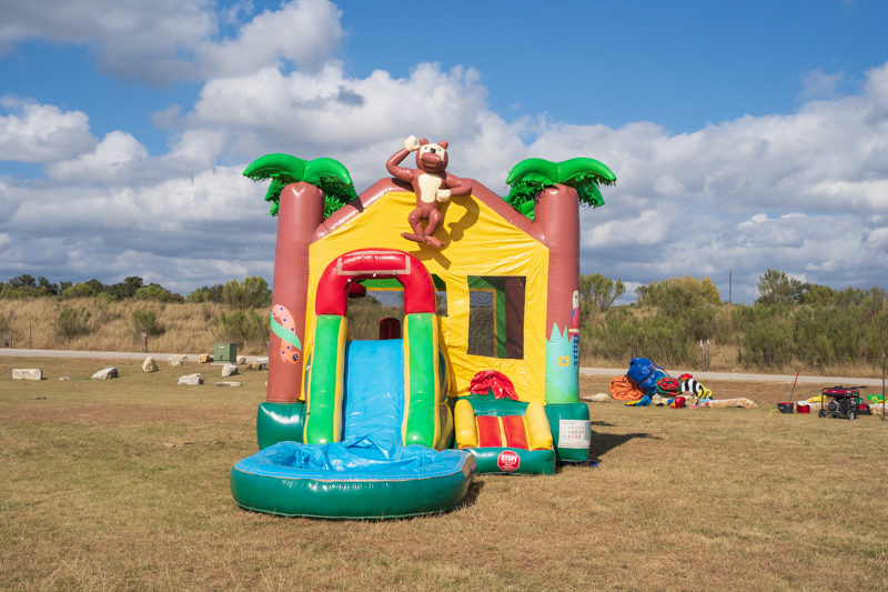 Jungle Bounce - Image 2
