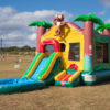 Jungle Bounce
