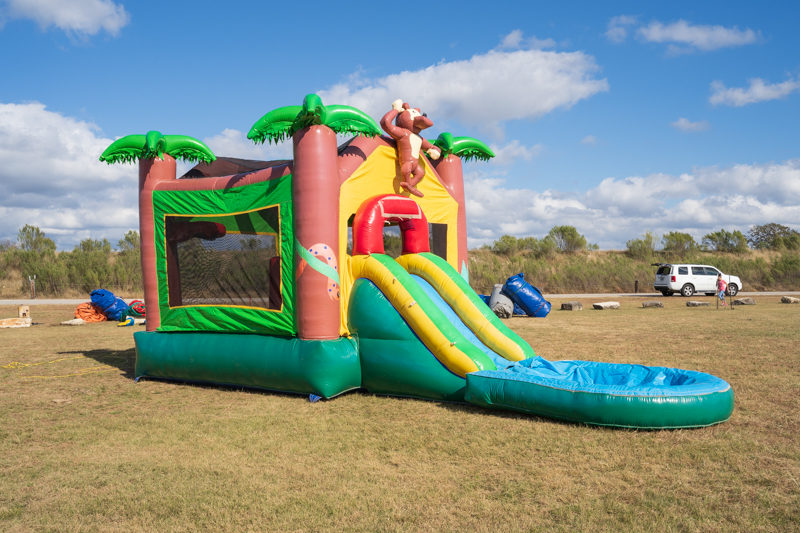 Jungle Bounce - Image 6