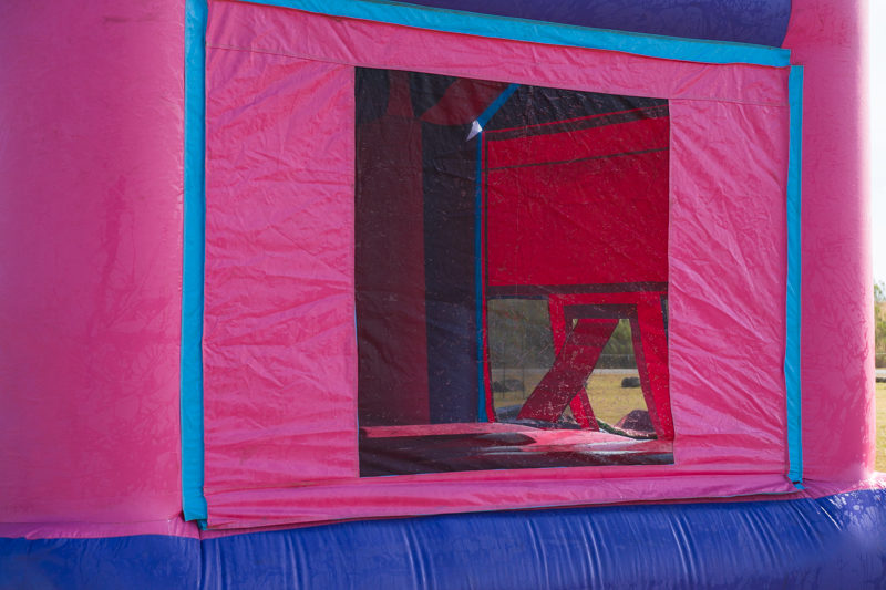 Purple and Pink - Image 5