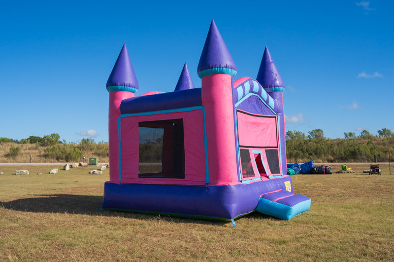 Purple and Pink - Image 6
