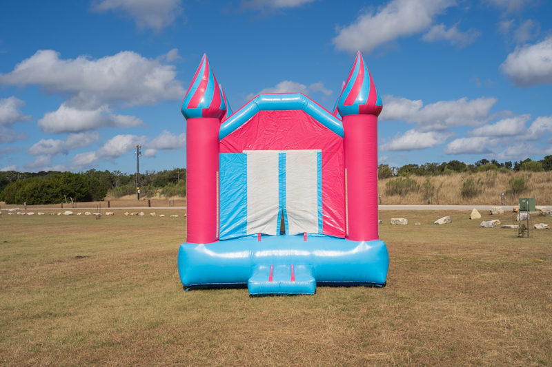 Pink & Blue Castle - Image 2