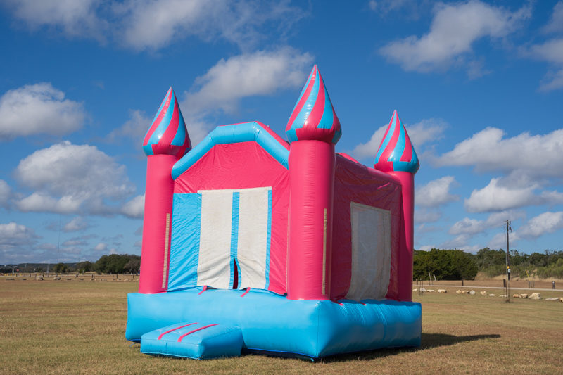Pink & Blue Castle - Image 3
