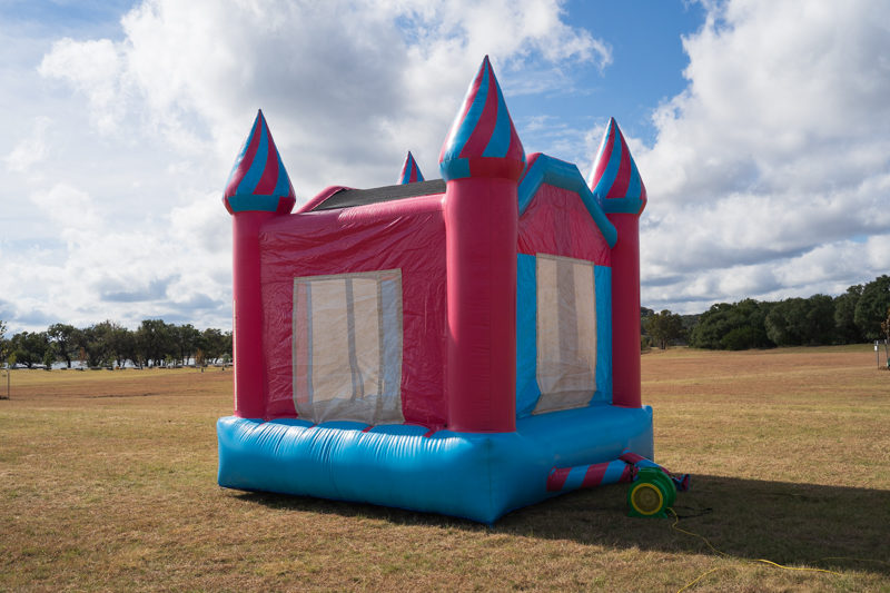 Pink & Blue Castle - Image 4