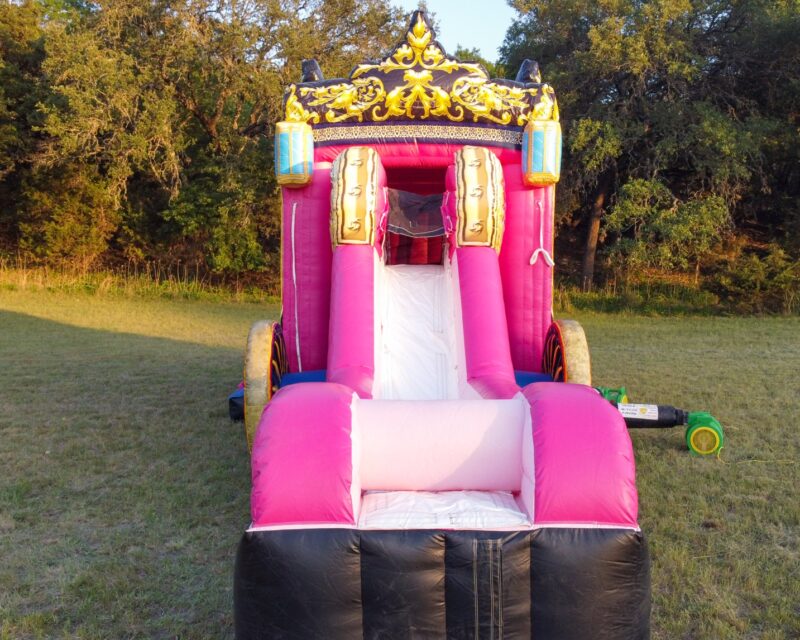 Princess Carriage - Image 3