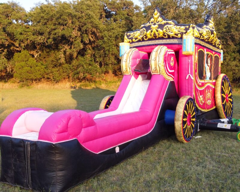 Princess Carriage - Image 4