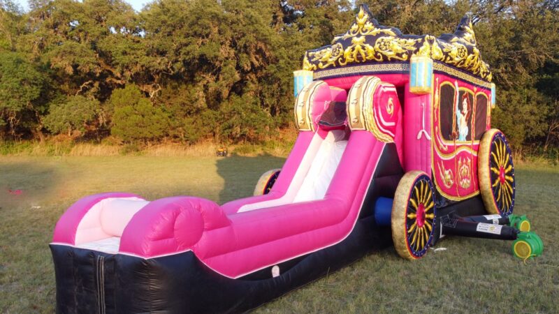 Princess Carriage - Image 5