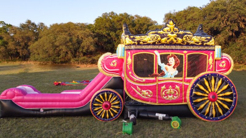 Princess Carriage - Image 6