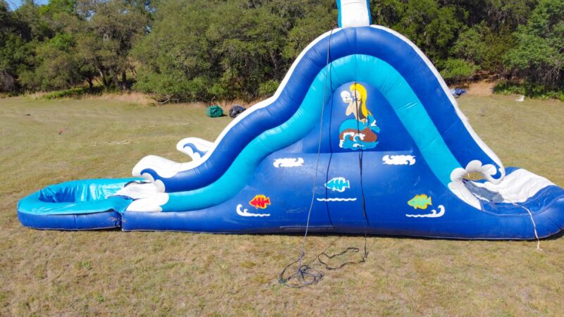 Sea Slide - Image 5